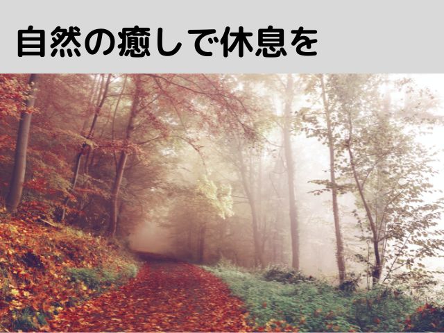 【九年庵】2022秋の一般公開時期は?アクセス方法も紹介!