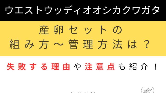 ウエストウッディオオシカクワガタを産卵させるには？割出時期と管理方法は？